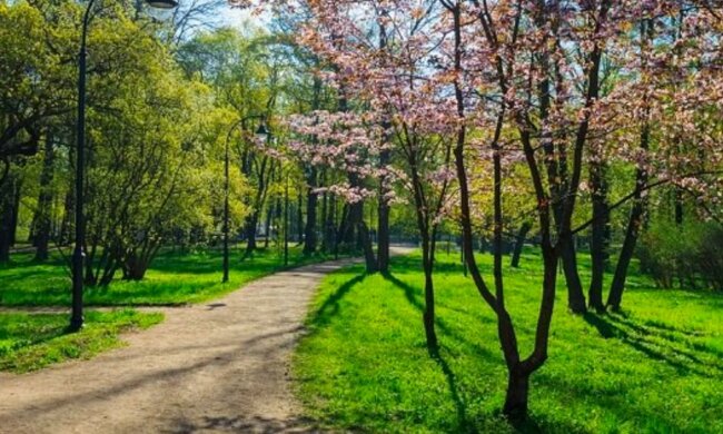 Погода, весна, потепління. Фото: Стіна