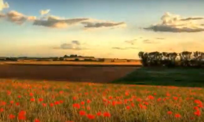 Природа.  Фото: скріншот YouTube-відео