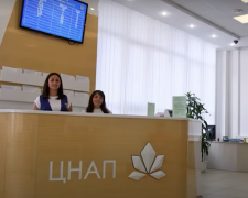 Усім, у кого домашні тварини, потрібно терміново з'явитися до ЦНАПу. Фото: YouTube