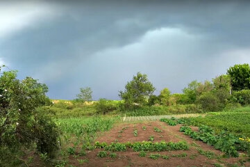 Погода в Україні. Фото: скріншот YouTube-відео.