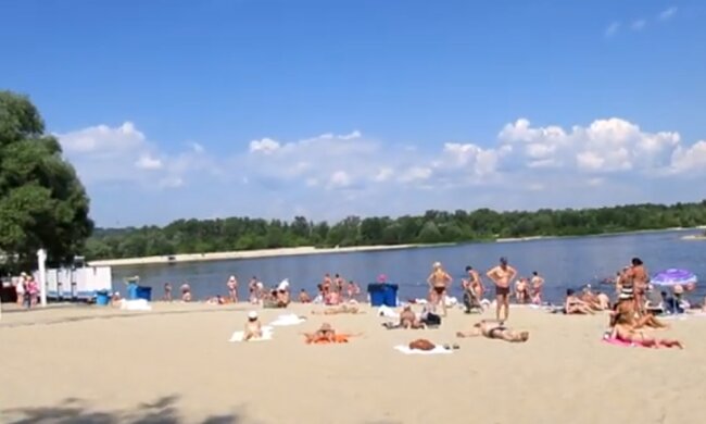 В водах Днепра поселились морские животные. Фото: скриншот YouTube