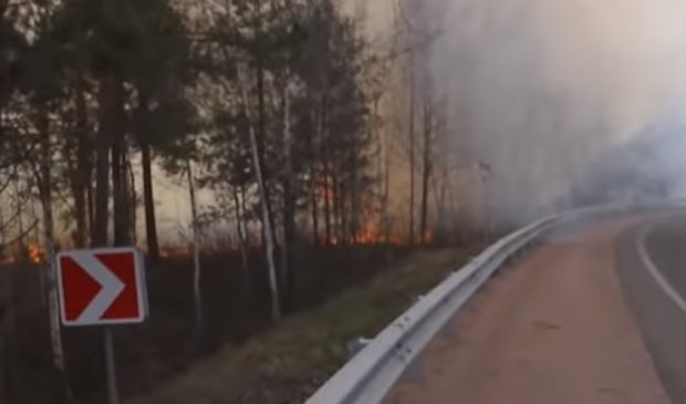 Пожары в Житомирской области. Фото: ТСН