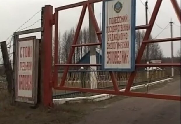 Чорнобильський заповідник. Фото: скріншот YouTube-відео