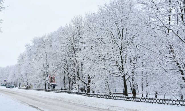 Зима, прогноз погоди, мороз, потепління. Фото: Стіна