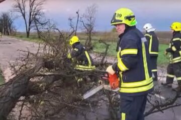 Последствия непогоды. Фото: скриншот YouTube-видео