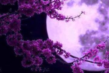 Гороскоп на 2 апреля 2020 года