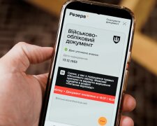 Розшук, ТЦК, зняття з розшуку. Фото: Telegram