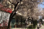 В Украине потеплело. Фото: Стена