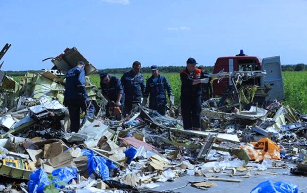 Сбитый «Боинг» MH17. Фото: РБК-Украина
