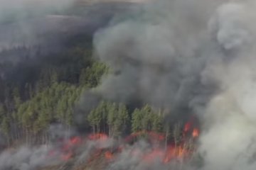 ГСЧС не проводит сбор средств. Фото: скрин youtube