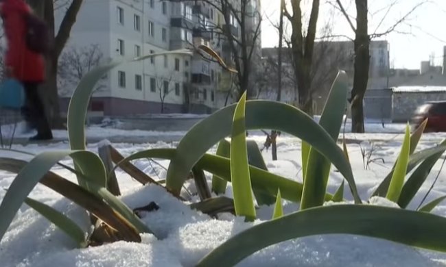 В Украину идет сильное похолодание. Фото: скриншот YouTube