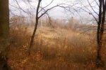 Погода на 9 ноября 2020 года