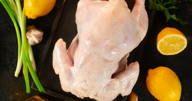Курица, курятина, мясо. Фото: YouTube