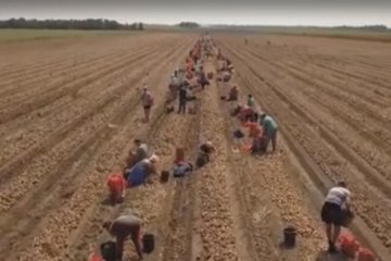 Сколько стоит украинская земля? Фото: скрин ТСН