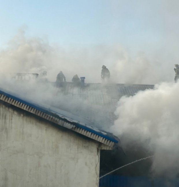 Пожар в Одессе 27.03.2020. Фото: скриншот "Думская"