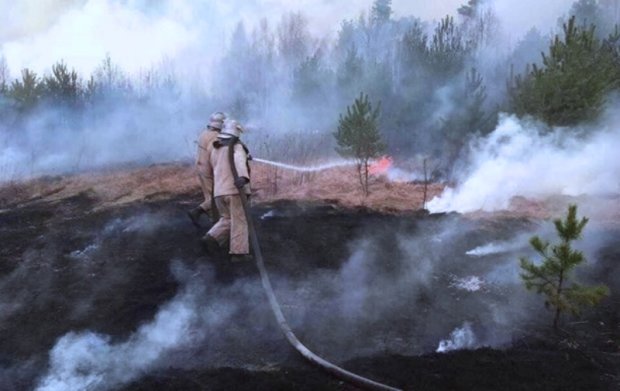 Пожар в Чернобыльской зоне. Фото: Корреспондент.net