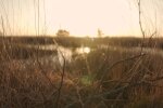 Природа. Фото: скриншот YouTube-видео