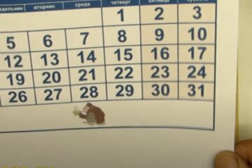 Праздники в Украине. Фото: скриншот YouTube