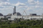 В Чернобыльской зоне поставили скрытую камеру: многие удивятся происходящему