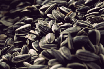Семечки всем есть нельзя, и вот почему
