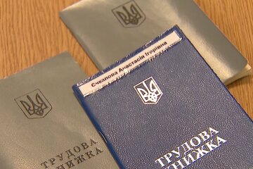 Трудовая книга.  Фото: скриншот YouTube-видео