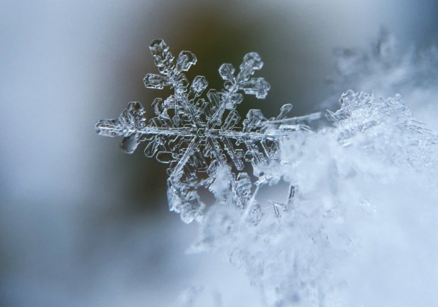 Снег в Карпатах, фото - nv.ua
