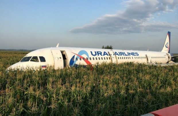 Летел в Крым, а приземлился в кукурузном поле. В сети появилось видео жесткой посадки российского самолета