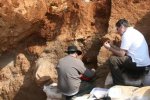 Уникальное открытие: на острове Кенгуру найден трилобит-гигант возрастом 500 миллионов лет
