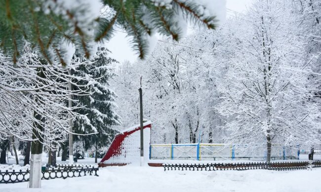 Погода, зима, сніг. Фото: Стіна