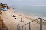 Кусачие монстры заполонили украинский курорт, первые жертвы уже есть, фото не для слабонервных