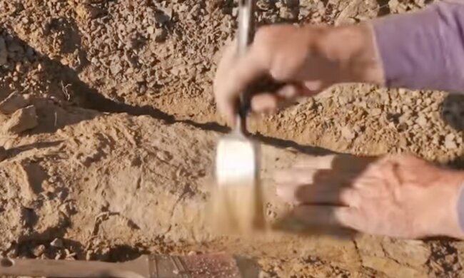 Археологи. Фото: скріншот YouTube
