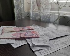 Субсидии в Украине. Фото: "Стена"