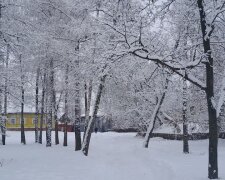 Наталка Діденко попередила про погоду на найближчі дні, мороз та сніг. Фото: Стіна