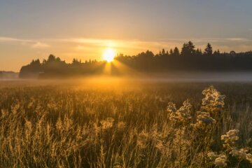 Синоптики срочно предупредили о погоде. Фото: youtube