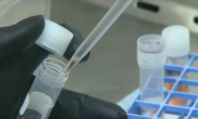 Коронавирус. Фото: скриншот YouTube