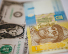 В Украине резко обвалился доллар. Это все выборы. Давно такого ждали