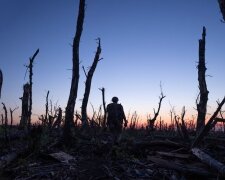 Фільм «2000 метрів до Андріївки» отримав премію Еммі