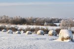 Право собственности на земельные участки нужно будет подтвердить. Фото иллюстративное