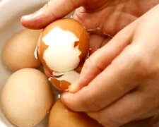 Яйца. Фото: YouTube