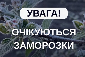 Весна знову підвела: заморозки до -3 вже цієї ночі — де буде найгірше 30 квітня