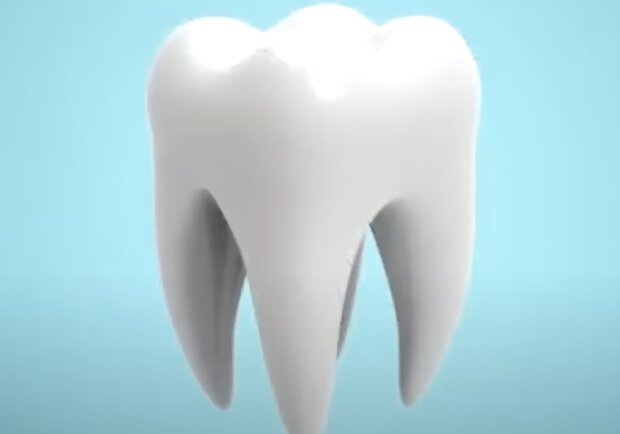 Зуб. Фото: скриншот youtube.com