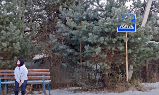 Перший сніг. Фото: скріншот YouTube-відео.