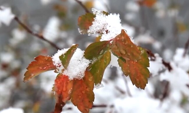 Первый снег.  Фото: скриншот YouTube-видео