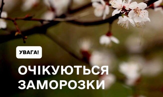 Заморозки, меньше ветра и новое похолодание: синоптик Диденко предупредила о погоде на завтра