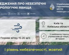 Жовтий рівень небезпечності: штормове попередження на Київщині