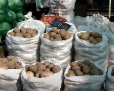 Картопля. Фото: скріншот YouTube-відео