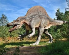 Им 80 миллионов лет: обнаружен уникальный вид динозавров (фото)