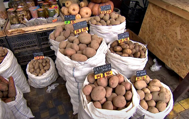 Картопля. Фото: скріншот YouTube-відео.