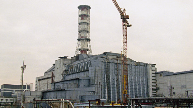Осторожно! В Чернобыле собирают радиоактивную чернику и продают ее на рынках