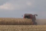 Земельна ділянка. Фото: скріншот YouTube-відео
